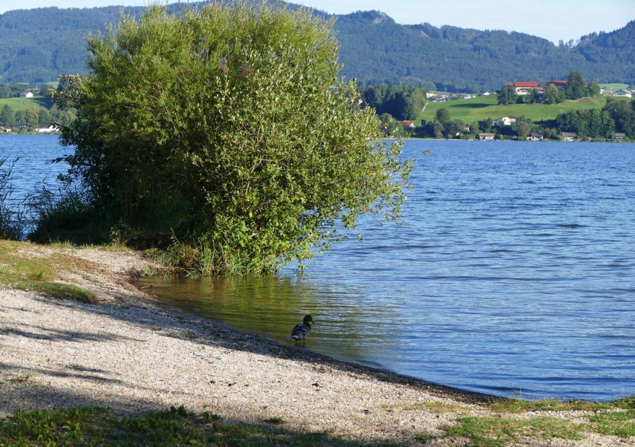 Refugio Del Lago Seekirchen am Wallersee Exterior photo