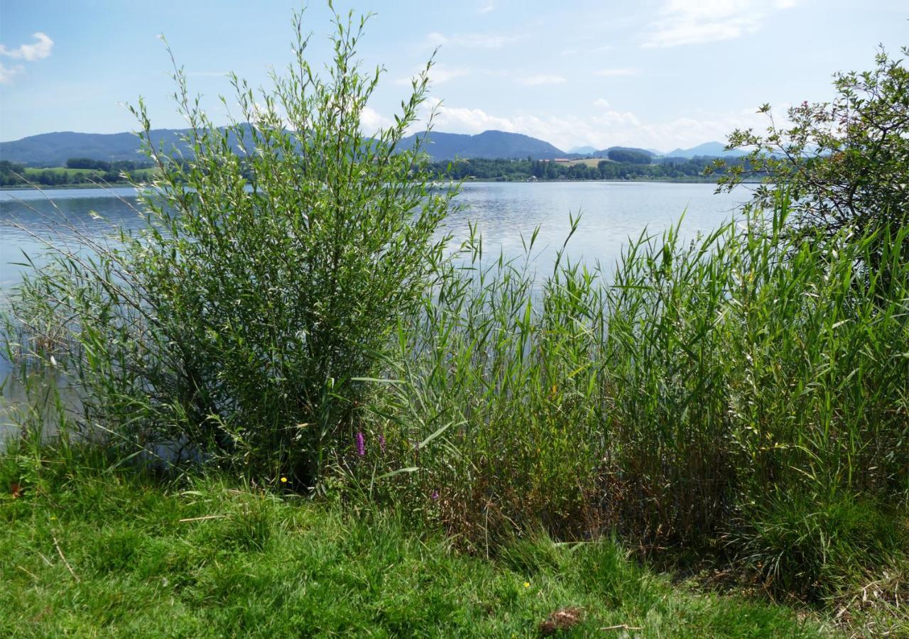 Refugio Del Lago Seekirchen am Wallersee Exterior photo