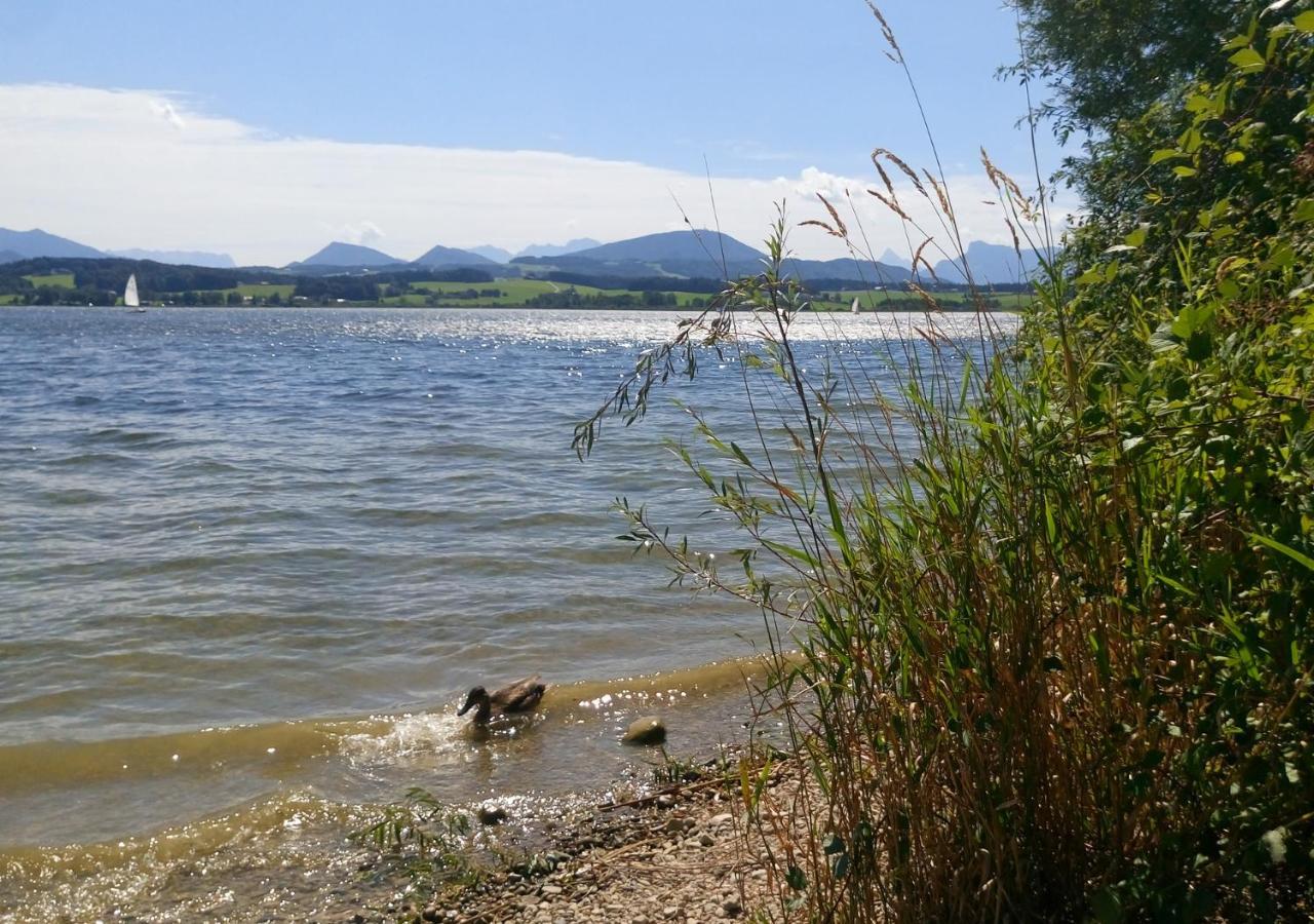 Refugio Del Lago Seekirchen am Wallersee Exterior photo